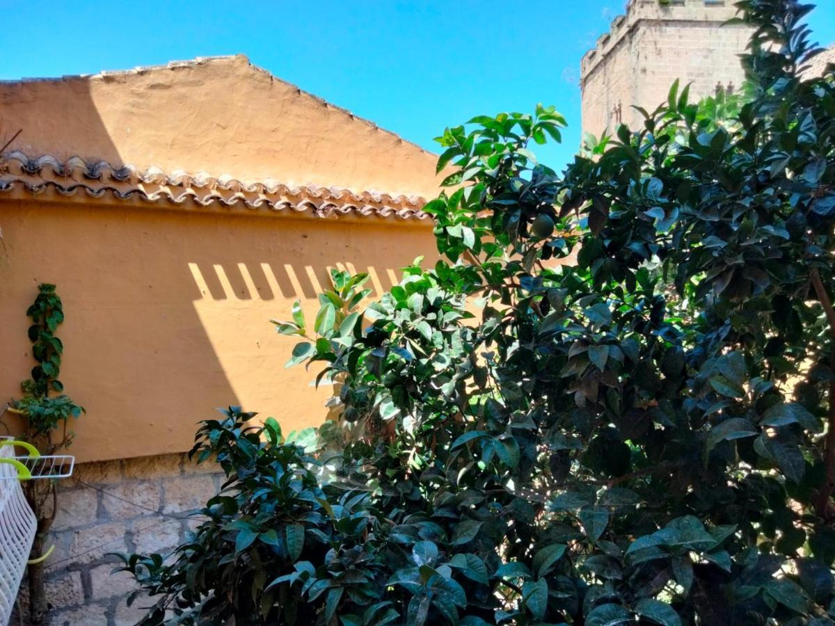 Estudio Castillo Denia Bagian luar foto